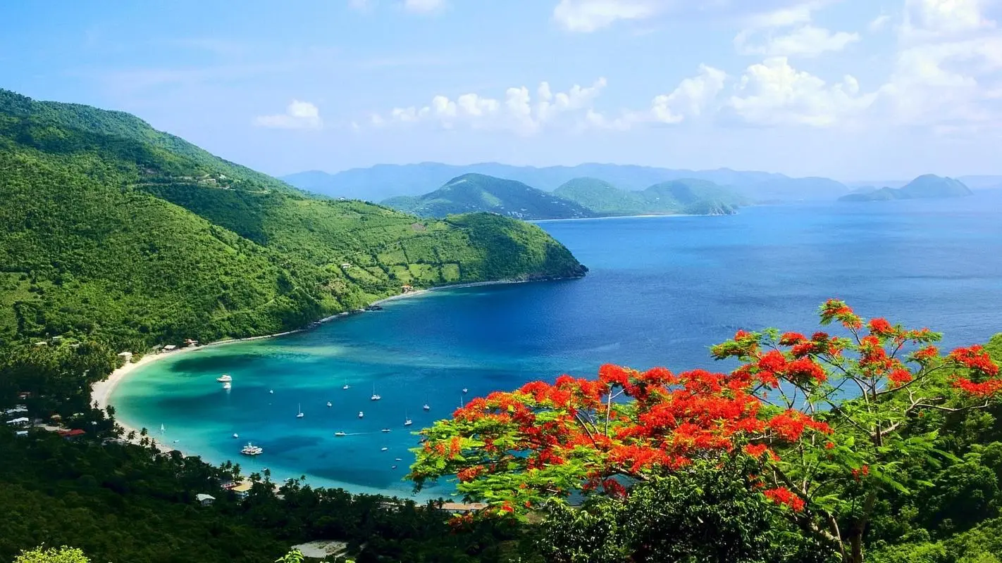 高性能全自动智能化